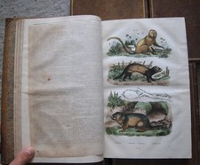 E.O DICTIONNAIRE PITTORESQUE