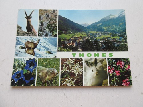 Carte postale haute - cp,