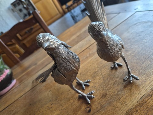 Couple faisans argente - faisans,