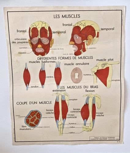Ancienne carte scolaire - ancienne,