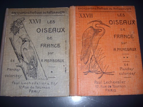Ornithologie les oiseaux - oiseaux, de