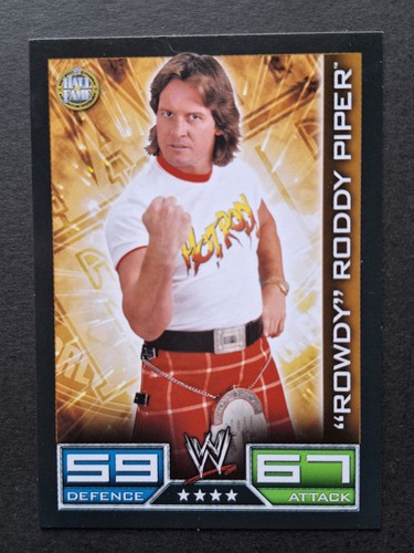 Rowdy roddy piper hall - rowdy, fame