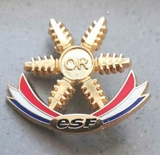 Insigne Broche Médaille de Ski ESF "ÉTOILE D'OR" Nouvelle version / Brevet Level