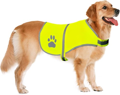 Gilet sécurité chien - gilet,