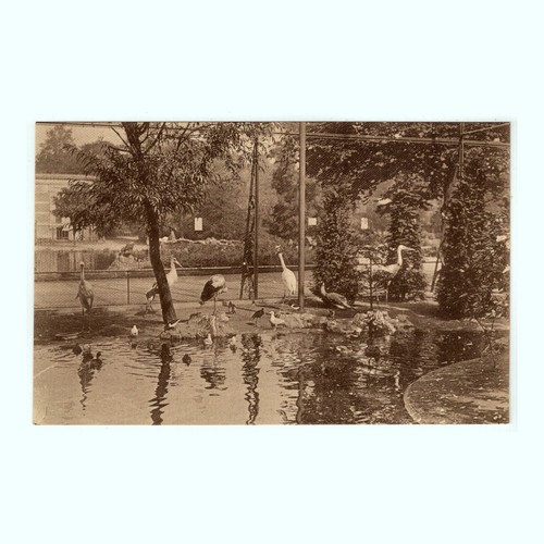 Anvers antwerp jardin - antwerp,