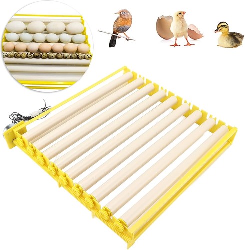Plateau pour incubateur - pour,