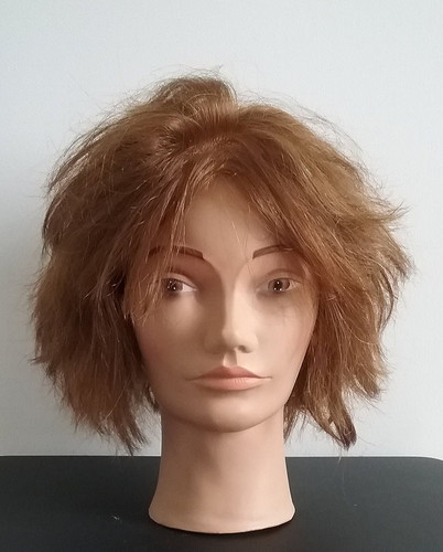 Tête mannequin coiffure - tête,