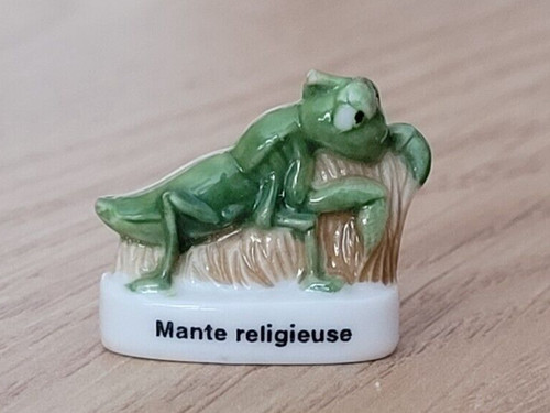 Fève mante religieuse - fève,