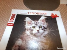 1000 pieces puzzle nathan