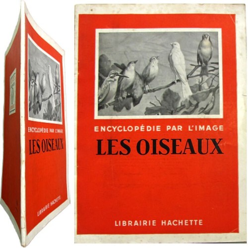 Les oiseaux 1942 - , maurice