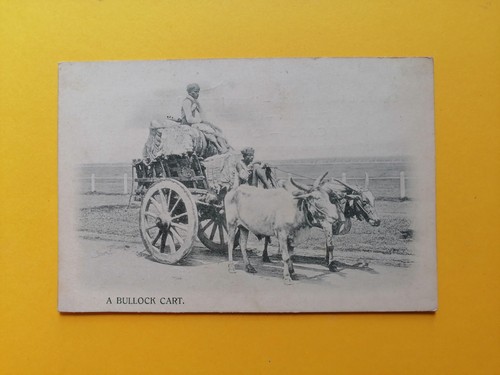 Cpa bullock cart - a,