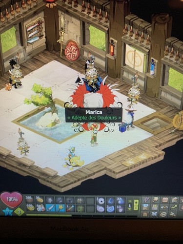 Compte dofus 200 - compte,