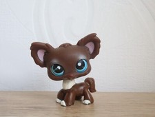 littlest petshop chihuahua