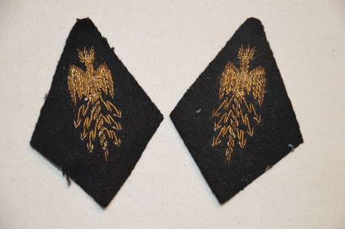 Pattes col officier grand - de,