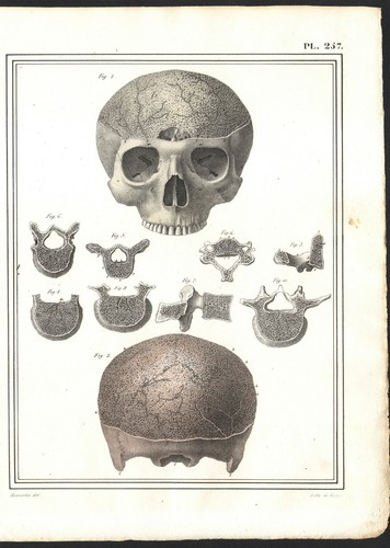 1825 gravure originale - 1825,