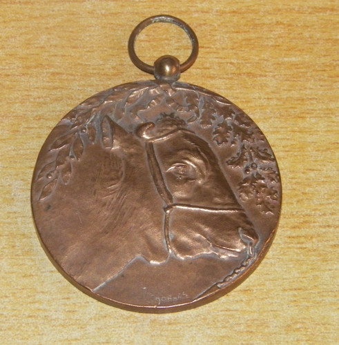 Médaille bronze la - bronze, ah