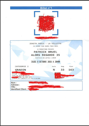 Vends places concert patrick - vends,