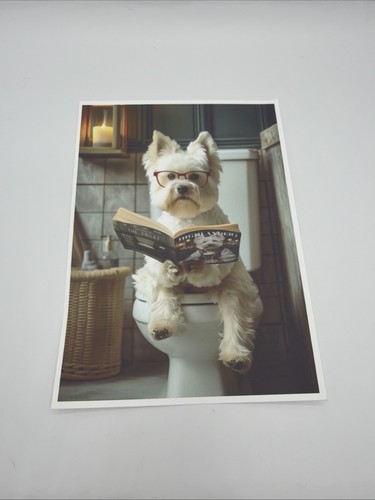 Affiche westie chien lunettes - affiche,