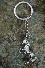 P01    PORTE CLE CLES   METAL