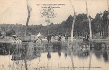 CPA 72 SAINT MARS D'OUTILLE / FORET DE BERCE / ETANG DE GRAMMONT