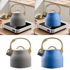 Bouilloire Sifflante Portable