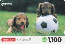 Carte JAPON - ANIMAL - CHIEN CHIOT - TECKEL Football - DOG Soccer JAPAN bus card