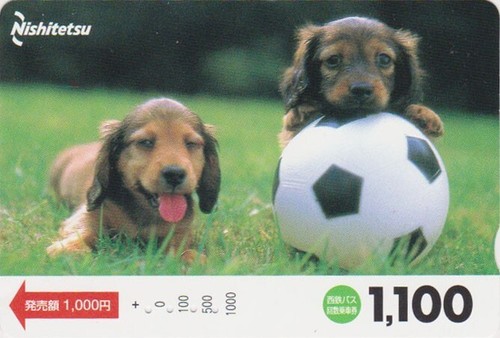 Carte japon animal - japon,