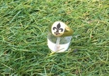 chevaliere blason or 18