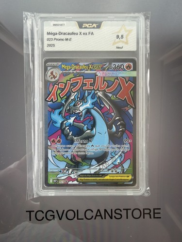 Pca pokémon mega - 9,5,