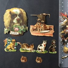 8 Chromos Anciens Chiens Chats XIXè Découpi Gaufré Dogs Cats Victorian Scrap 19C