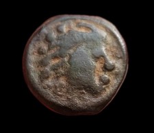 Senons, Potin A La Tête