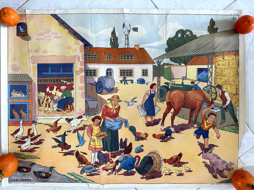 Affiche pédagogique scolaire - affiche,