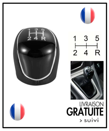 Pommeau levier vitesses pour - 5,