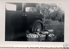 Voiture ancienne Citroën Rosalie Panier de Pommes   - photo ancienne an. 50 60
