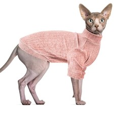 Vêtements pour chat sphynx - vêtements,