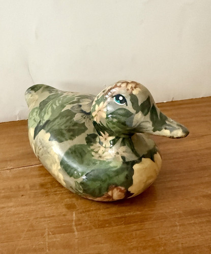 Canard collection en - canard,