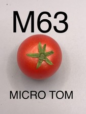 graine / seed tomate DWARF / NAINE taille cerise variété MICRO TOM