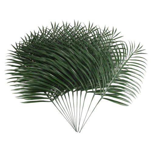 Pièces feuilles palmier - feuilles,