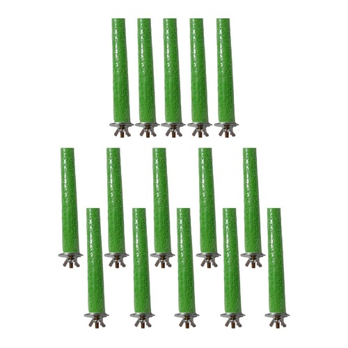 Bird cage perch pied - bird,