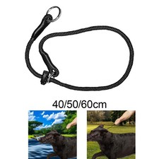 Collier de dressage pour chien