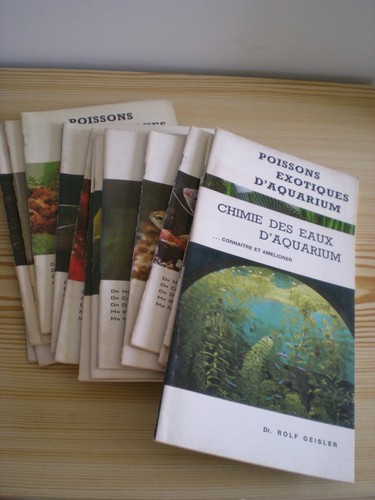 Lot poissons exotiques - -,