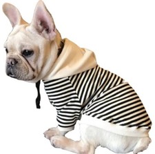 Vetement chien type Bouledogue Français sweat, capuche,rayures bleu marine. Neuf