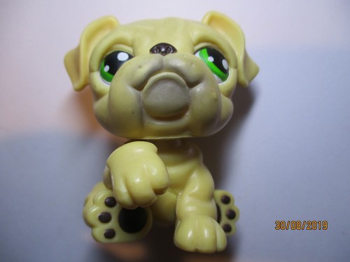Petshop chien bouledogue - petshop,
