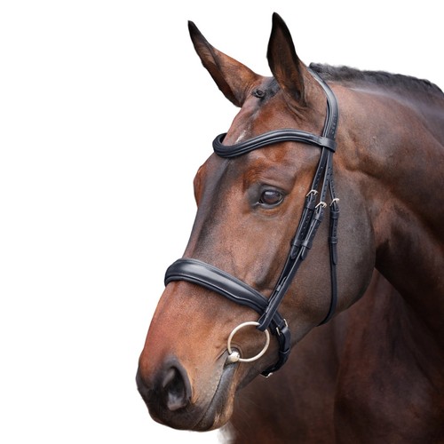 Velociti lusso - velociti,