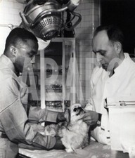 Photo De Presse Vintage