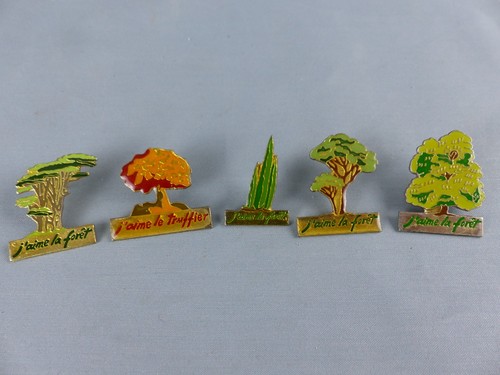 Lot pins aime - de, forêt