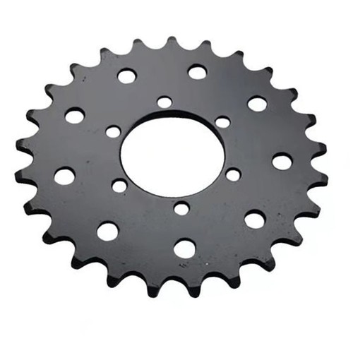 Roue chaîne vélo 25t - de,