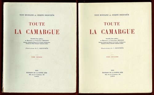 Toute camargue chevaux - camargue,,