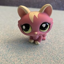 Petshop Chat SPHYNX 1900