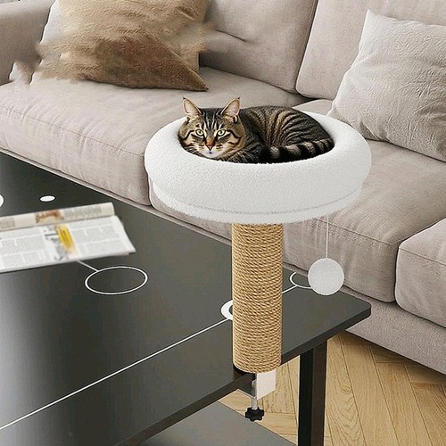 Bureau pour chat lit - chat,, lit,